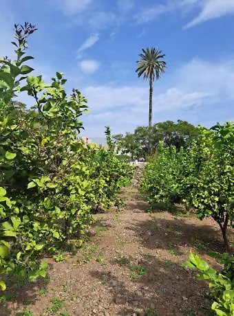Apartmán El Tabobo Sl Güimar